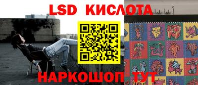 амф Шахты