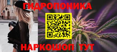 амф Шахты
