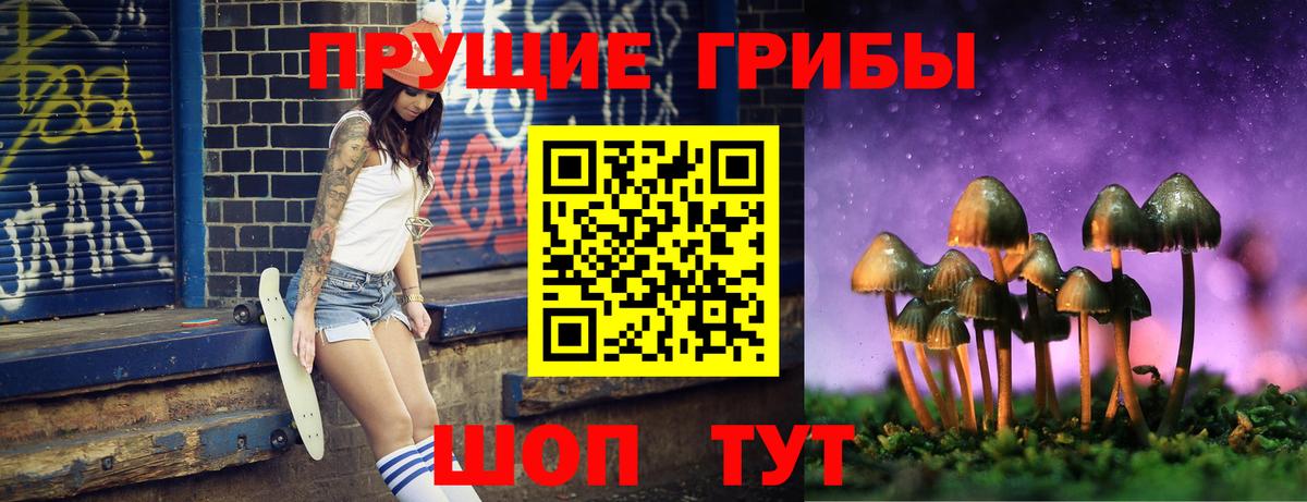 Галлюциногенные грибы GOLDEN TEACHER  Вход с VPN  Воскресенск  Галлюциногенные грибы мицелий 