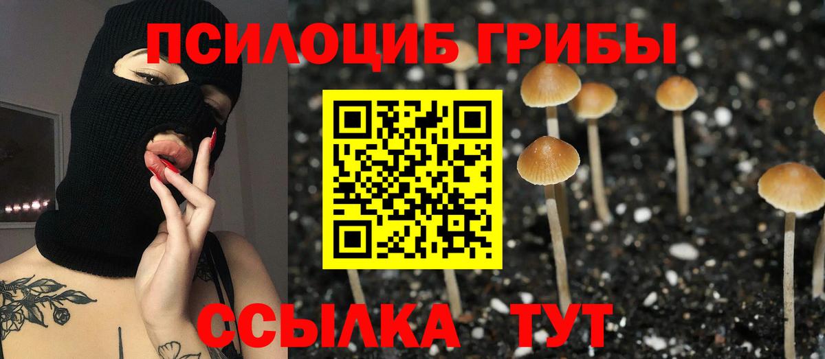 Псилоцибиновые грибы Cubensis Воскресенск